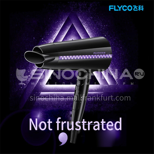 FLYCO hair dryer household hair dryer 2000W high power water moisturizing negative ion foldable hair dryer DQ000024